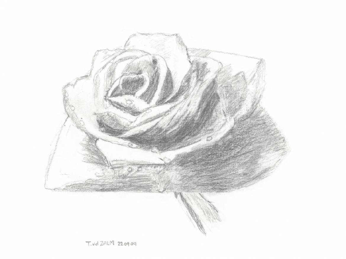 inmemoriam_bloem.jpg